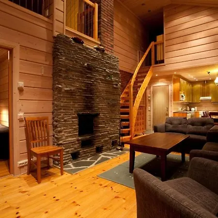 Apartment Levi President Kätkä Lodge B *
